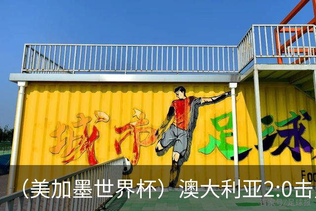 （美加墨世界杯）澳大利亚2:0击败土耳其 中国裁判迎本届杯赛首秀